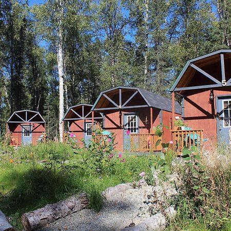 Dfa Cabin Rentals Talkeetna Ngoại thất bức ảnh