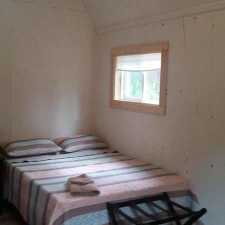 Dfa Cabin Rentals Talkeetna Ngoại thất bức ảnh