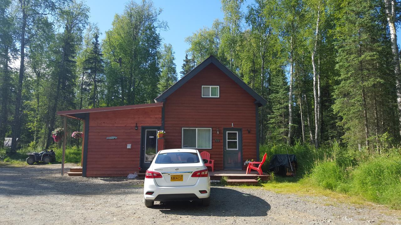 Dfa Cabin Rentals Talkeetna Ngoại thất bức ảnh
