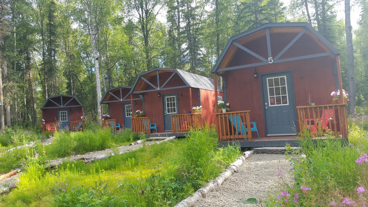 Dfa Cabin Rentals Talkeetna Ngoại thất bức ảnh