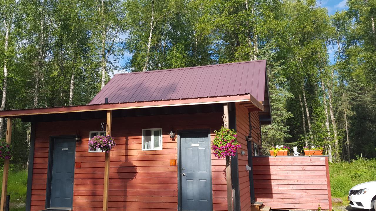 Dfa Cabin Rentals Talkeetna Ngoại thất bức ảnh