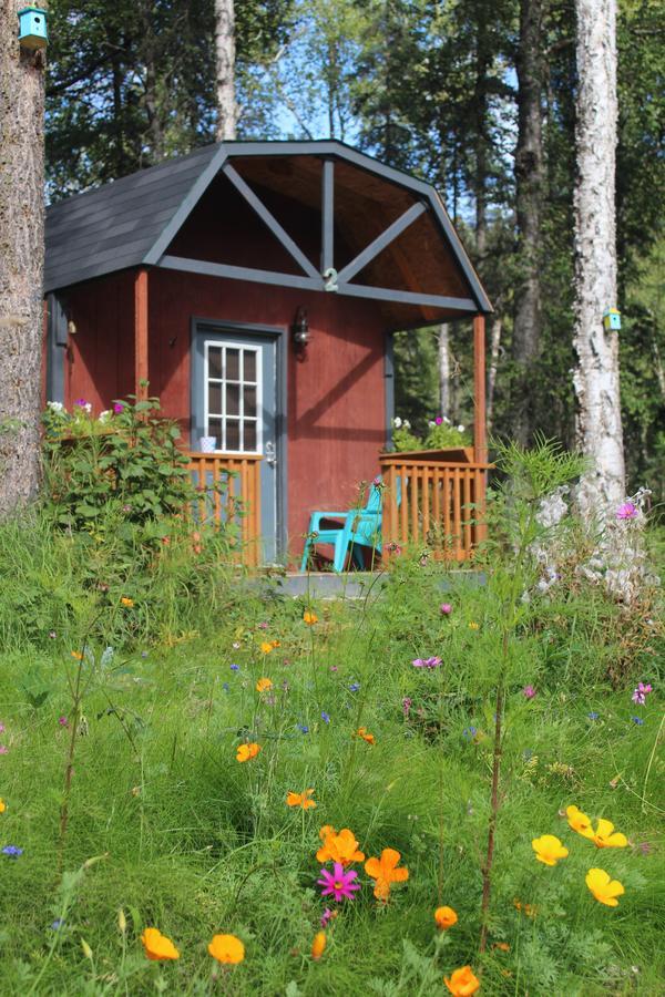 Dfa Cabin Rentals Talkeetna Ngoại thất bức ảnh