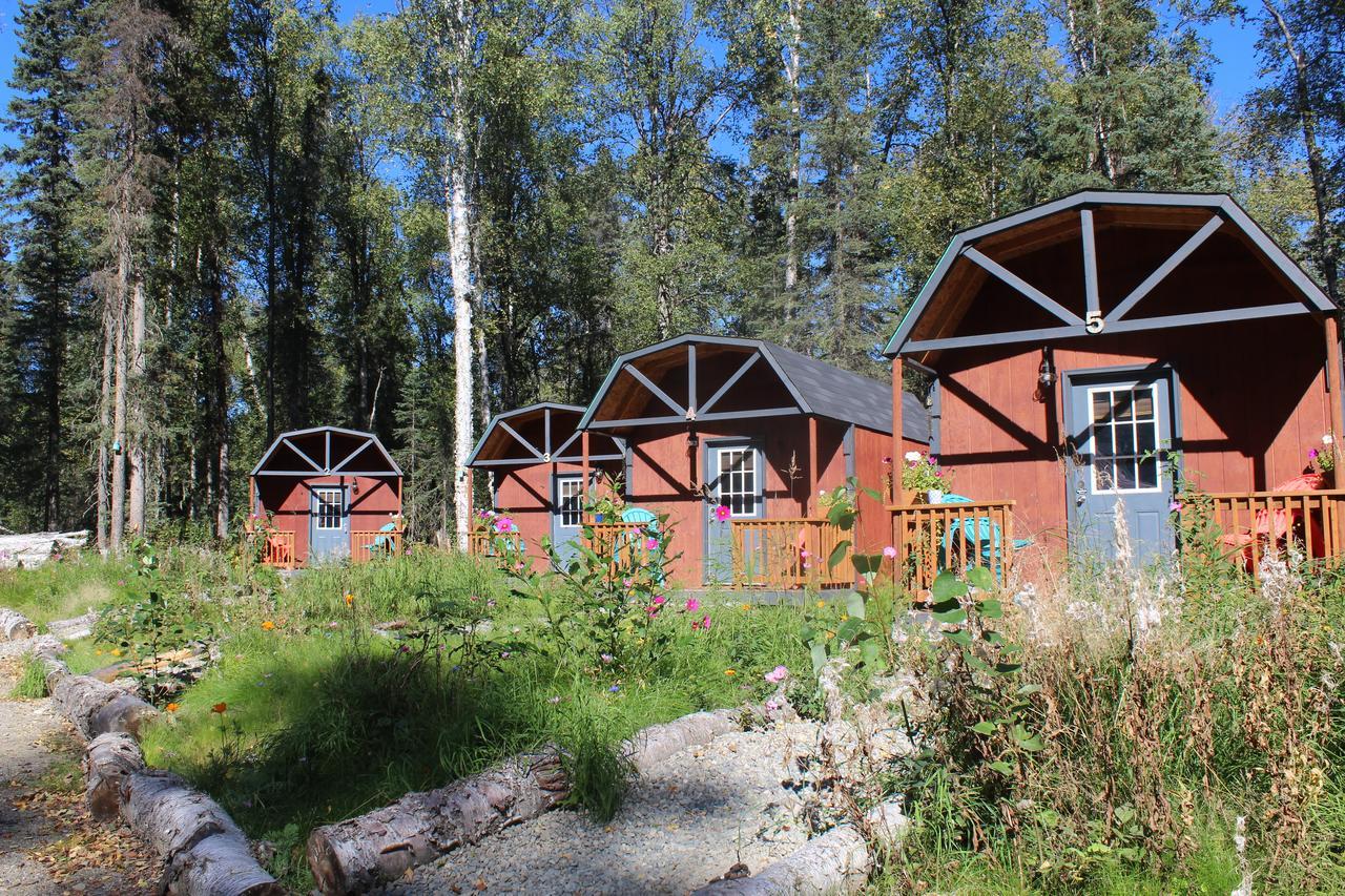 Dfa Cabin Rentals Talkeetna Ngoại thất bức ảnh